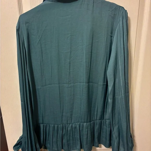 Naked Zebra Deep Teal Blouse - Picture 6 of 6